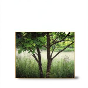 Good Books Arbitration Guide for Kindle-0