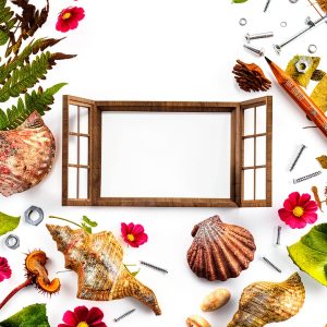 Hardie Grant Explore Small Space Home Improvement Guide Eco Tips-0